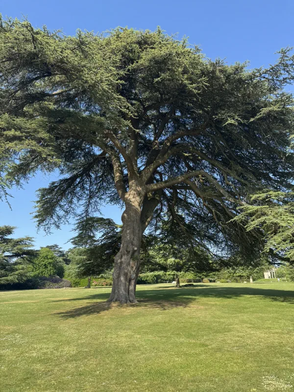 United Kingdom photograph